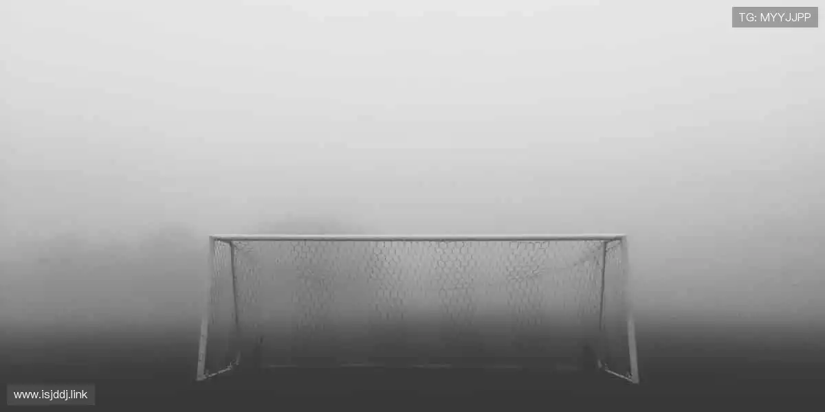 从训练场到直播间，你的热爱全程在线！📱